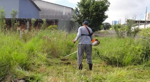 Prazo de limpeza de terrenos florestais termina a menos de um mês