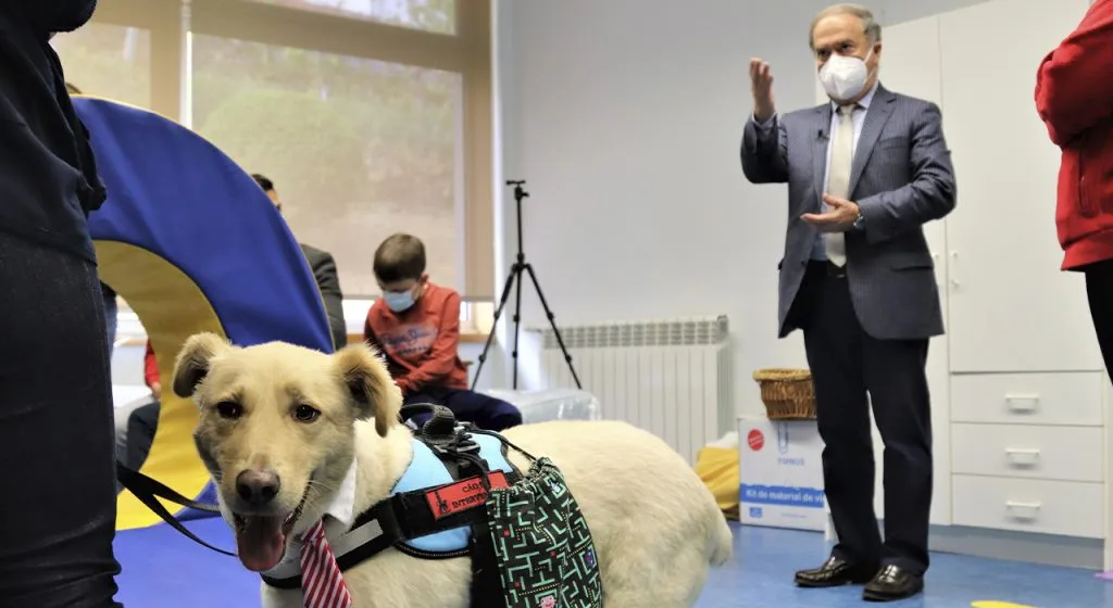 Cães interagem com alunos com Autismo