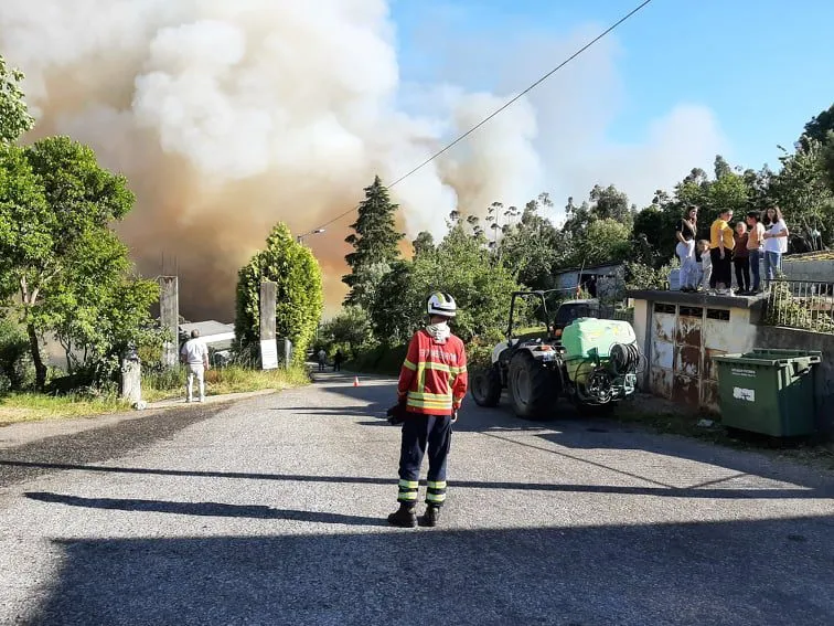 Incêndio de grandes dimensões lavra em eucaliptal de Celorico de Basto