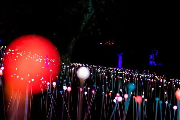 Exposição Serralves em Luz prolongada até 7 de novembro