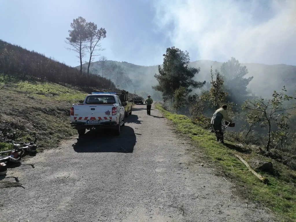 Resende faz trabalhos de Gestão de Combustível Florestal