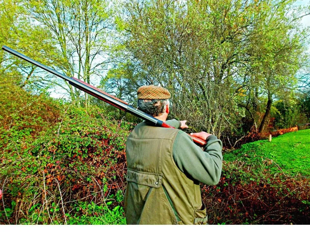 Andava à caça dos javalis com arma ilegal