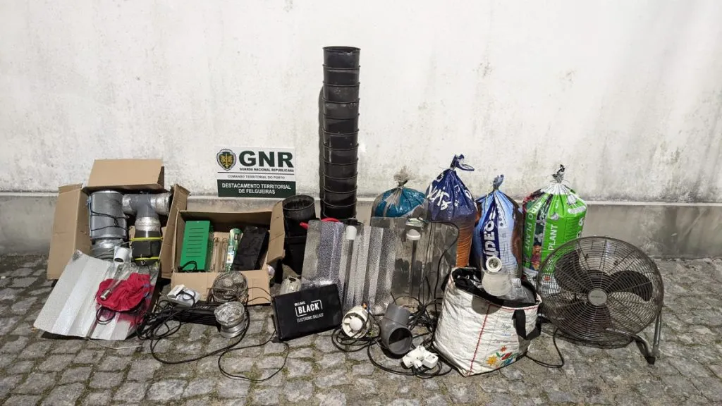 Produtor e traficante detido pela GNR