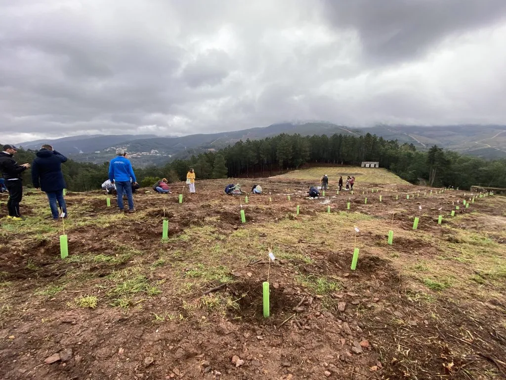 Vieiros acolhe a Primeira Floresta ERASMUS+ de Portugal