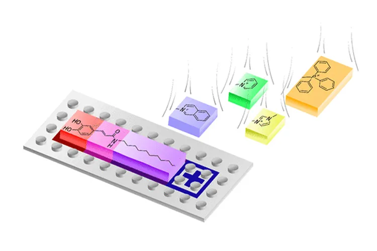 Como a Química do Lego pode ajudar a combater as doenças neurodegenerativas