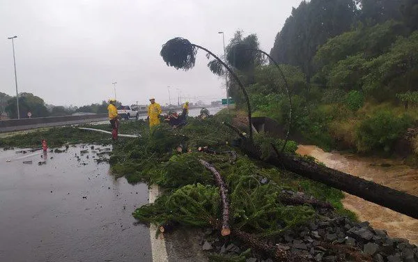 Muita chuva, vento como resultado do ciclone-bomba (e Portugal não vai escapar)