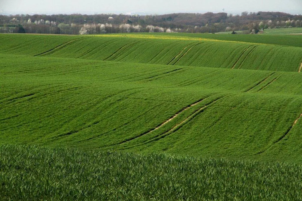 Alterações climáticas podem tornar-se a principal causa da perda de biodiversidade