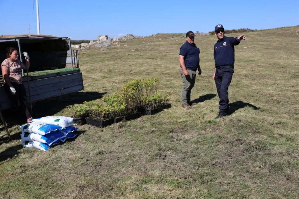 Baião planta árvores na Serra da Aboboreira