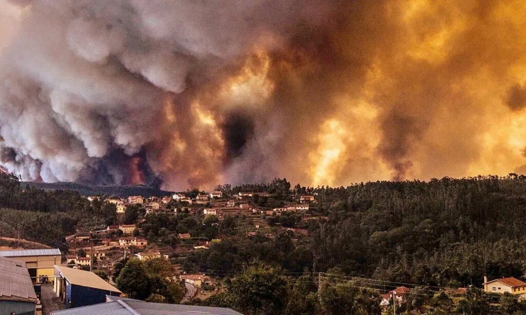 Governo conclui atribuição de apoios em Amarante seis meses após os incêndios