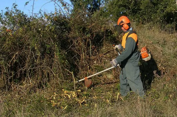 Prazo para limpeza de terrenos prolongado até 15 de junho