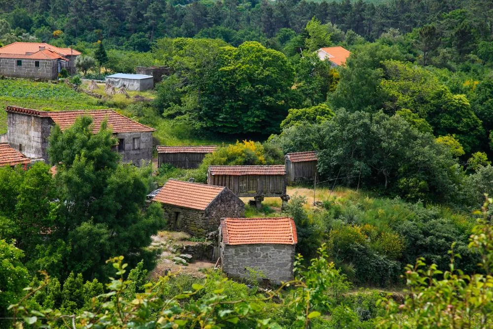 Almofrela acolhe jornada do projeto europeu PAISACTIVO dedicada à revitalização rural
