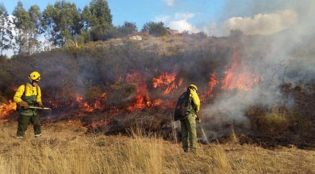 CIM do Tâmega e Sousa trabalha na prevenção de incêndios