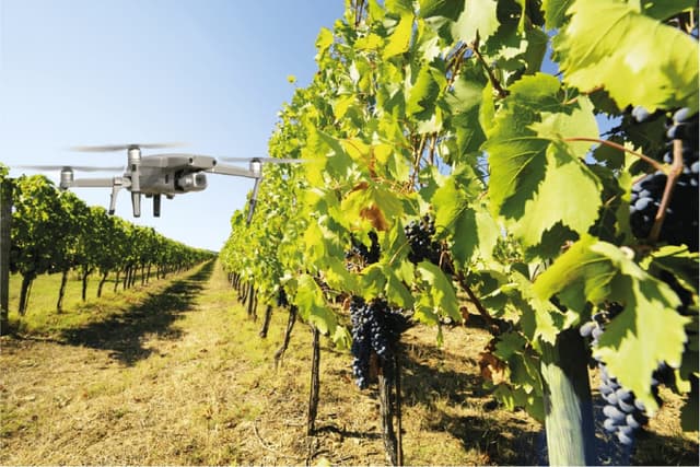 Tecnologias potenciadoras de uma maior produtividade nos pomares e vinhas