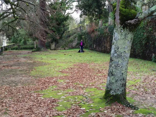 Estudo revela a biodiversidade escondida nos espaços verdes urbanos