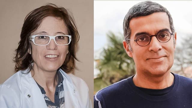 Identificada região cerebral com potencial de alteração precoce na doença de Alzheimer