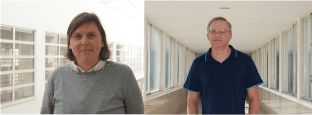 Cientistas da U. Coimbra criam material superisolante com borracha de pneus usados