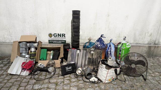 Produtor e traficante detido pela GNR