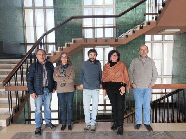 Cientistas desenvolvem nanoesponja para remover pesticidas da água