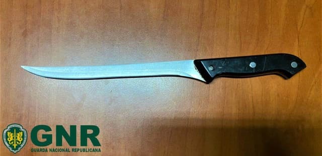 Mulher detida por violência doméstica