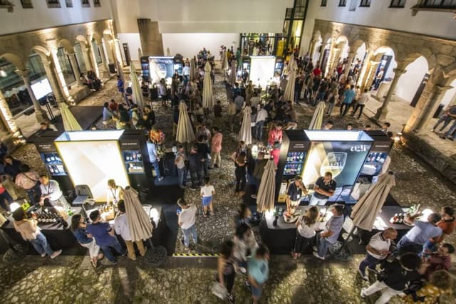 UVVA abre com aposta total nos vinhos de Amarante