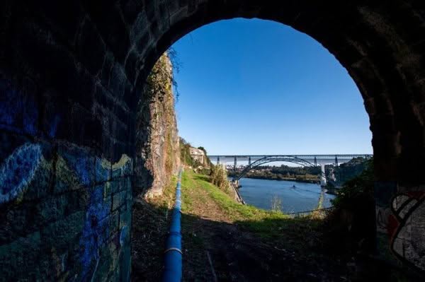 Câmara do Porto quer reativar Ramal da Alfândega