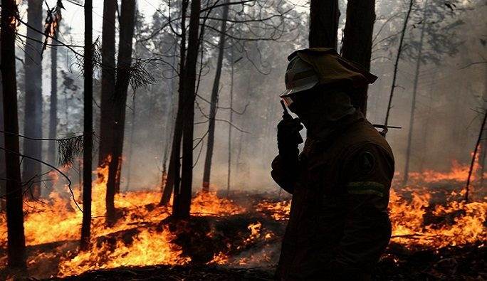 Candidaturas de 654 mil euros para apoio aos prejuízos dos incêndios em Baião