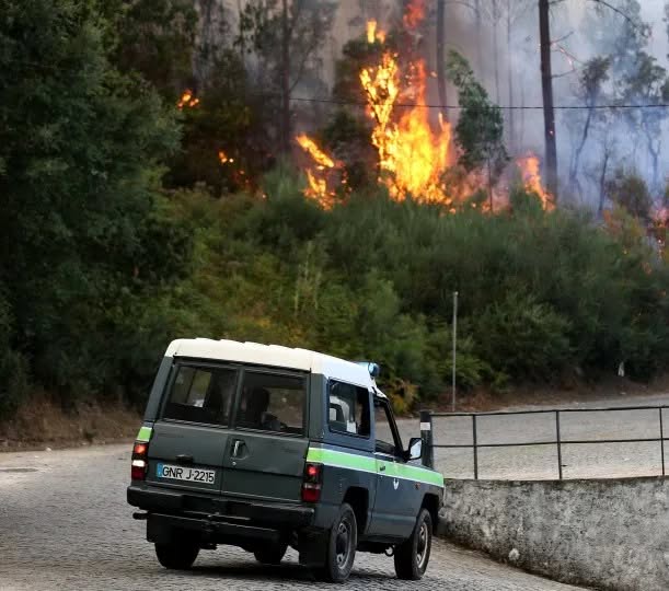Mulher detida por incêndio florestal
