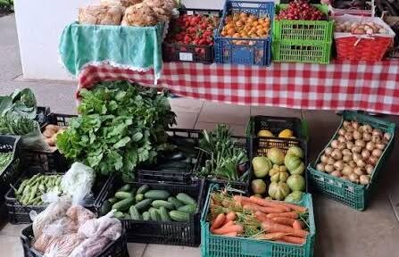 Mercado de produtores de Celorico regressa domingo a Gandarela